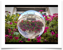 Spherical Spread - Carol Sparkes